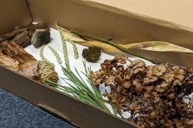 Create a sensory nature box