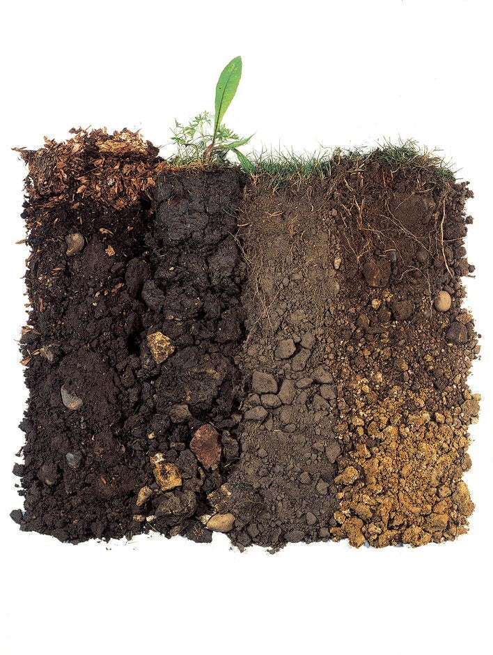 A soil layers with grass and dirt