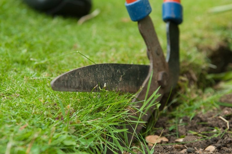 How to Maintain Lawn Edges | RHS Advice