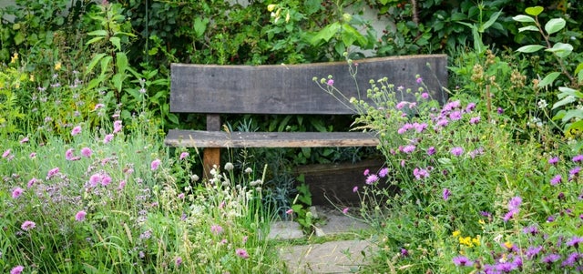 Planting a low-carbon garden