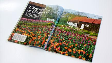 Discover <i>The Garden</i>, our exclusive magazine for RHS members