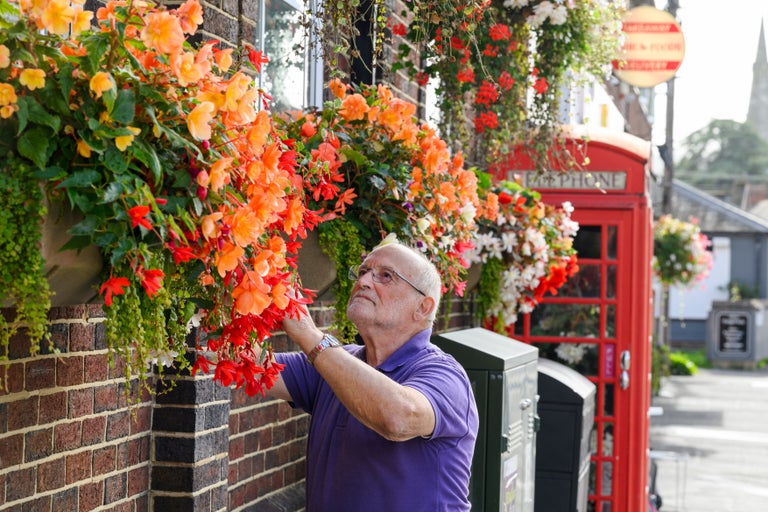 Britain in Bloom winners revealed