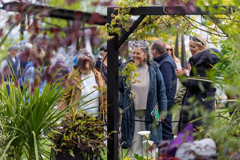 A group of people standing under a pergola
