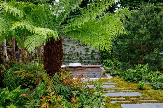 Moss Magic Garden