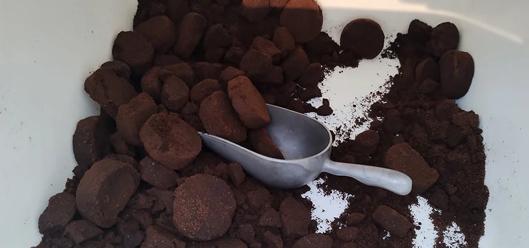 How to use coffee grounds for plants