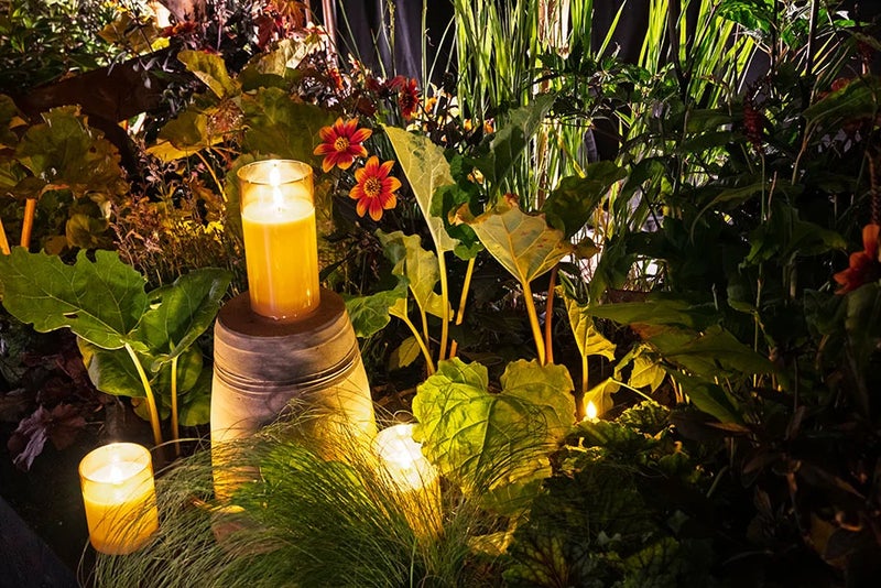 RHS Rhubarb By Candlelight created by Olivia Copley