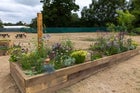 Thumbnail: Tough as Old Boots Garden