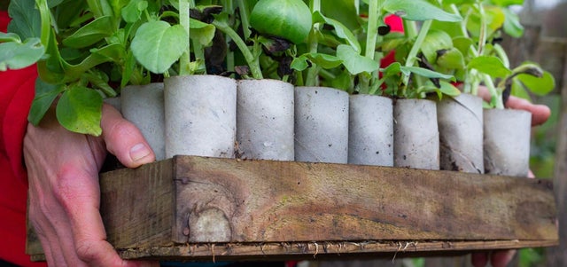 How to go plastic-free in your garden