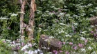 Thumbnail for slide 3