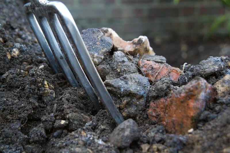 Object Growing How Plants Respond to Light and Environment | RHS Advice