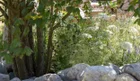 Thumbnail for slide 5