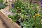 Thumbnail: The Winding Path: A Wellbeing Journey