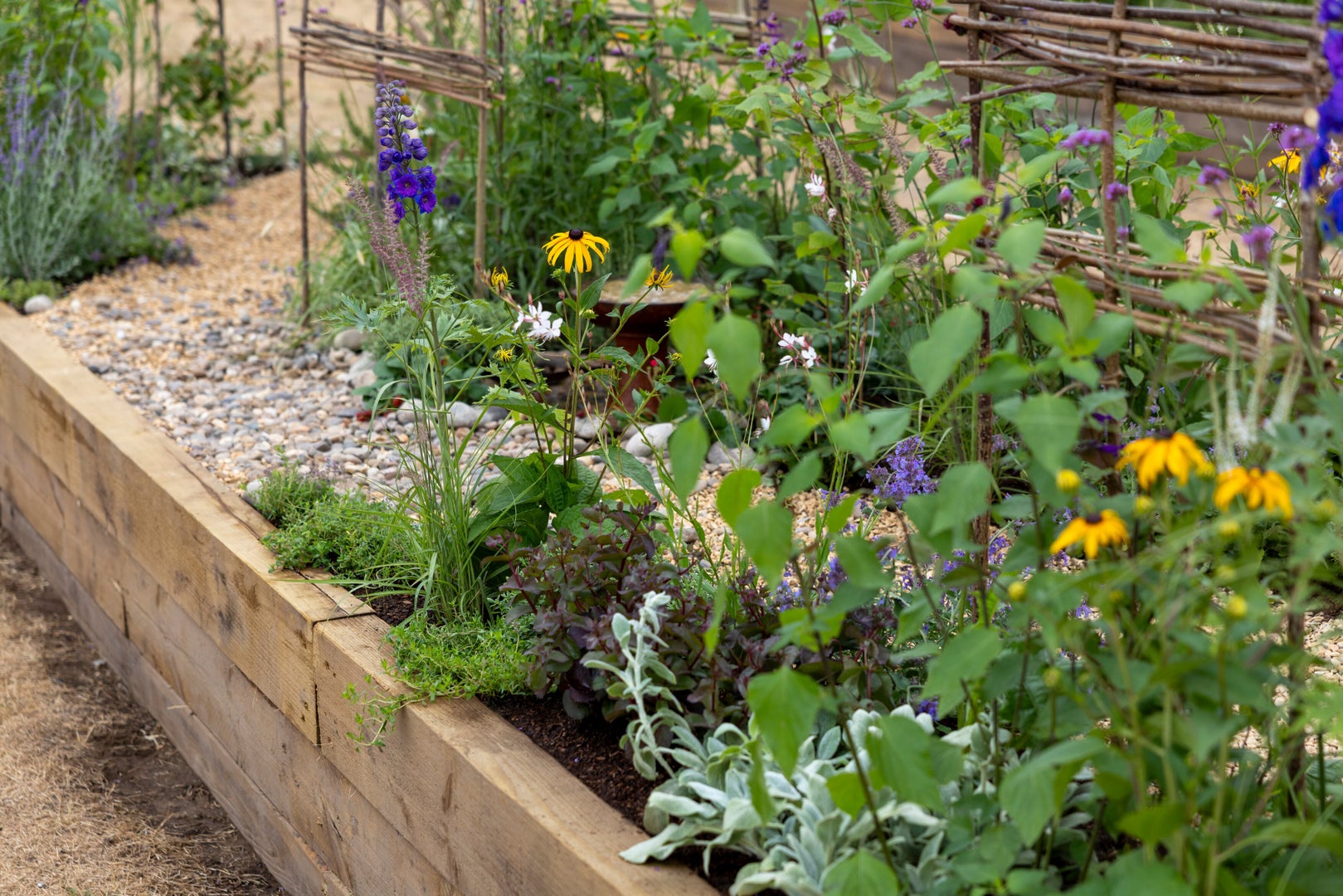 The Winding Path: A Wellbeing Journey