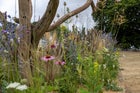 Thumbnail: The Habitat Garden