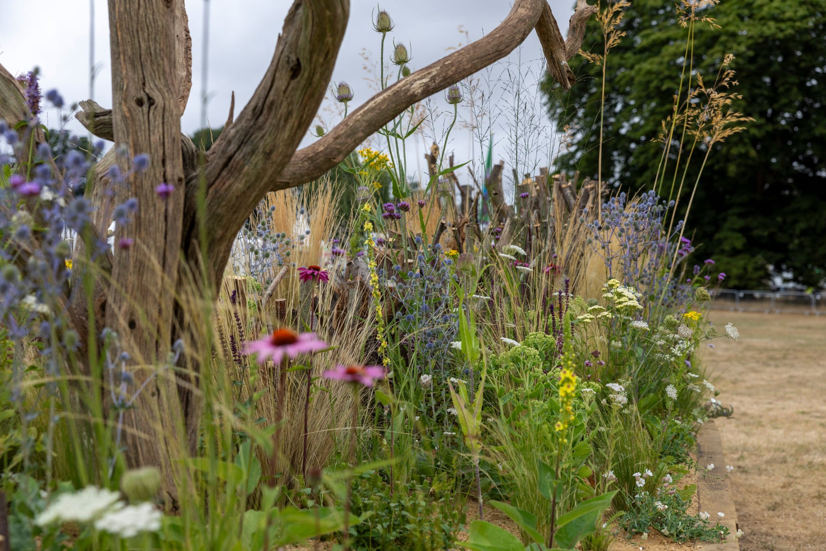The Habitat Garden