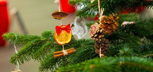 What to do with your Christmas tree