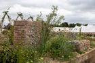 Thumbnail: Norfolk Coast: A Long Border for Climate Resilience
