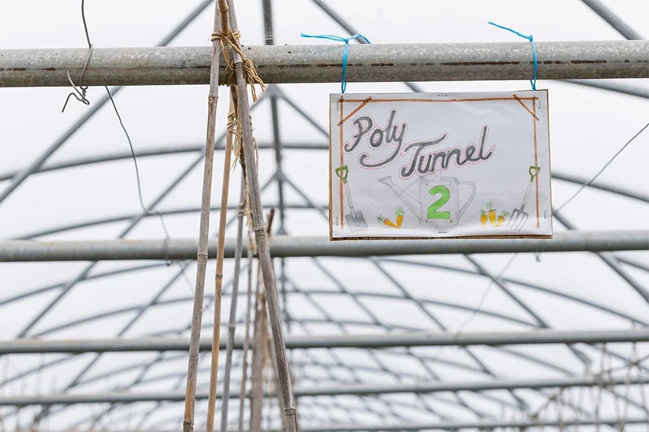 Polytunnel
