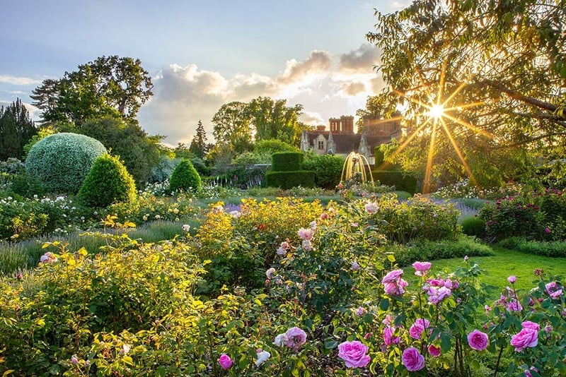 Borde Hill Garden, West Sussex