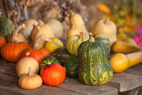 How to grow squashes | RHS Guide