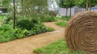 Thumbnail for slide 4