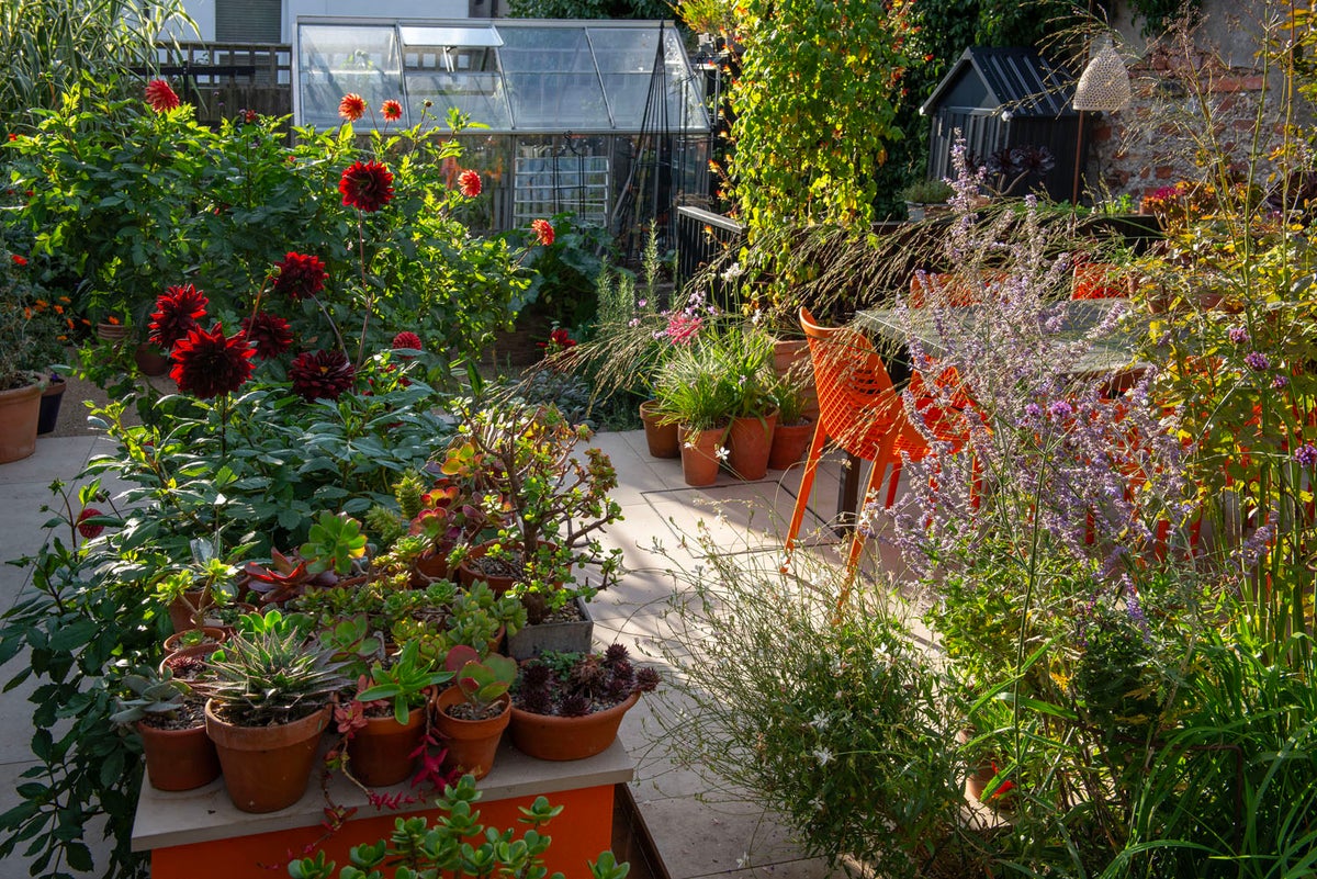 New Beginnings, Steve Bustin's Garden in Brighton