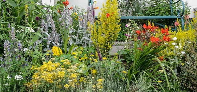Creating a border to attract wildlife