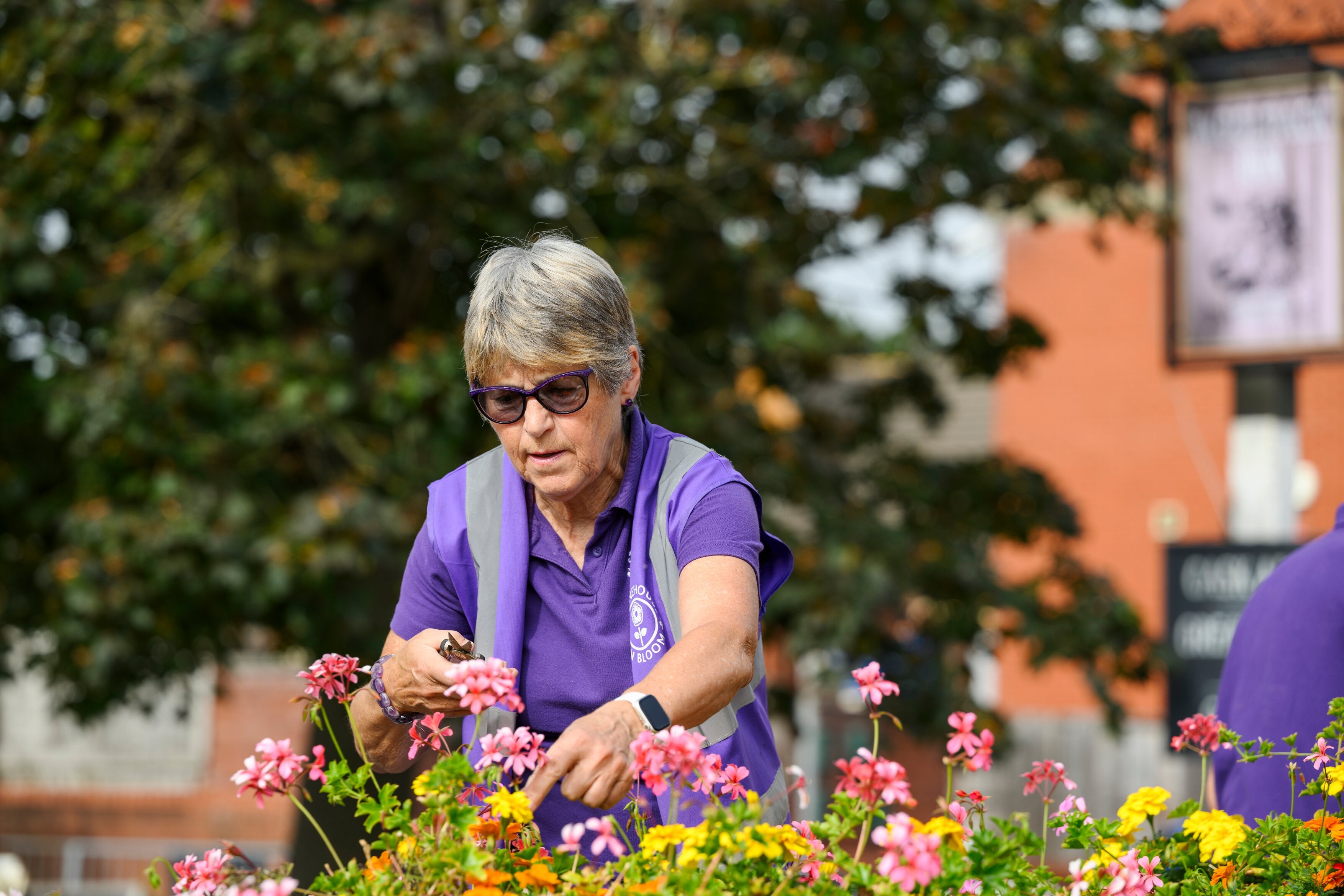 Stonehouse in Bloom volunteer trimming plants