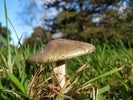 Thumbnail for slide 3
