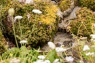 Thumbnail: Mindful Meadowlands