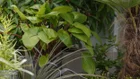 Thumbnail for slide 4