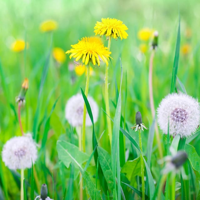 © Shutterstock
