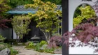 Thumbnail for slide 3