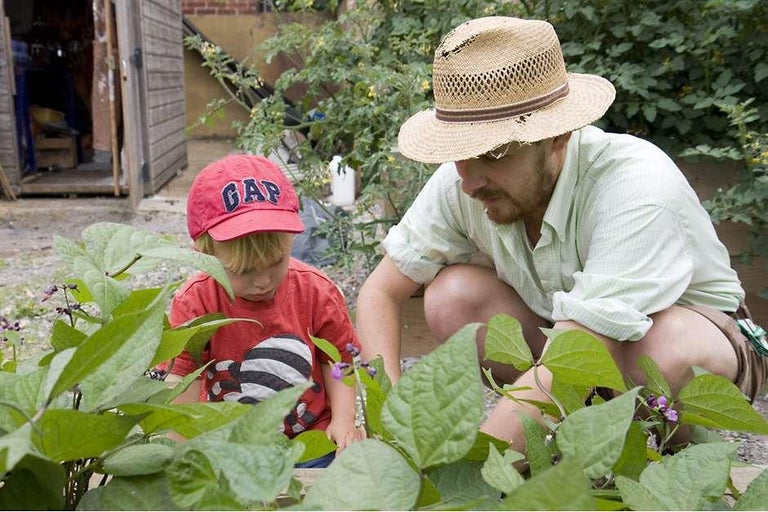 Urban gardening