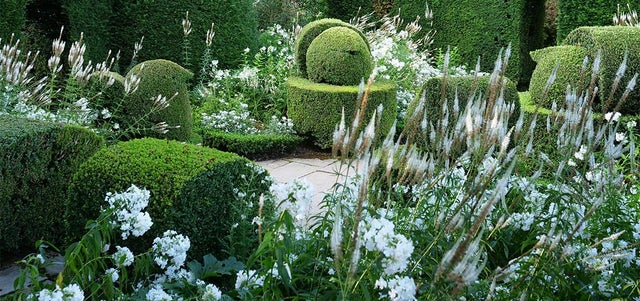 White gardens to recreate at home