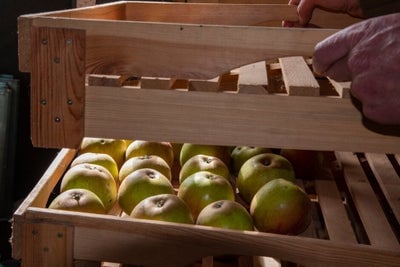 Apples stored in a crate