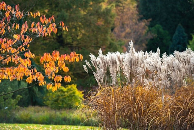 Garden design