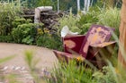 Thumbnail: RNIB Talking Books Garden