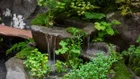 Thumbnail for slide 3
