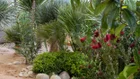 Thumbnail for slide 4