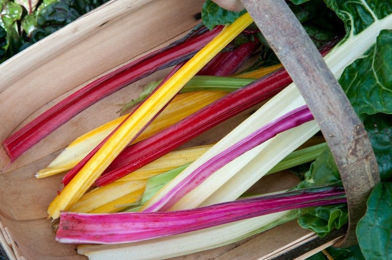How to grow chard | RHS Guide
