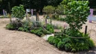 Thumbnail for slide 1