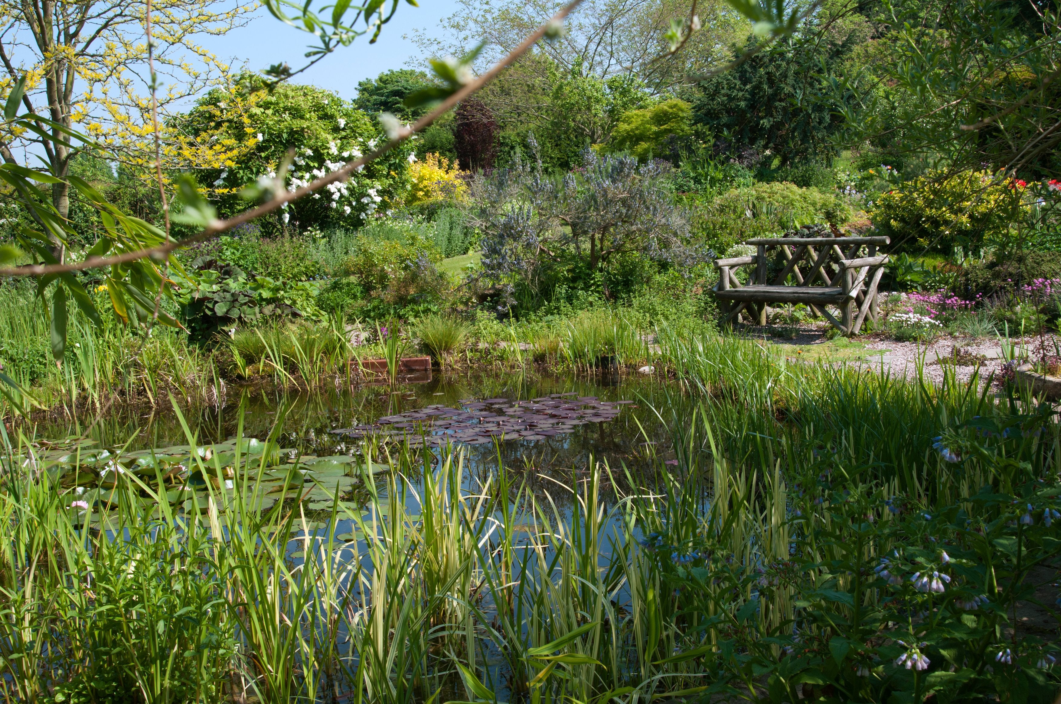 How green is your garden?