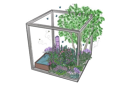 A drawing of a garden in a glass box