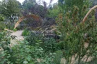 Thumbnail for slide 3