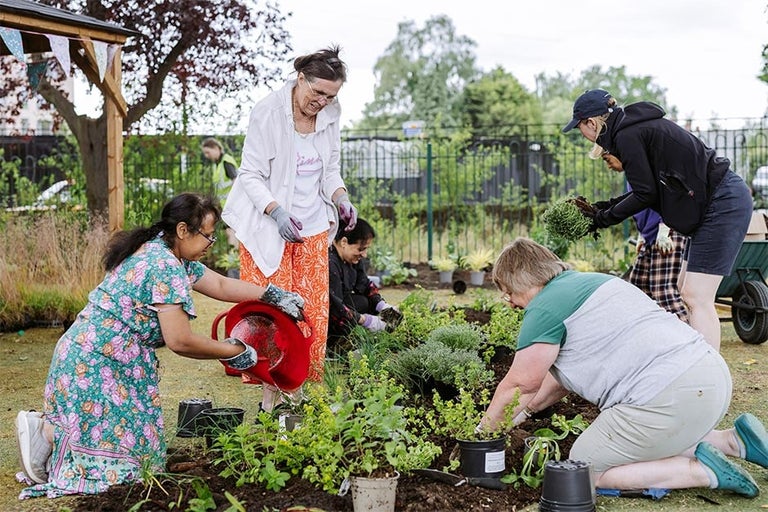 Creating a wellbeing garden for a community