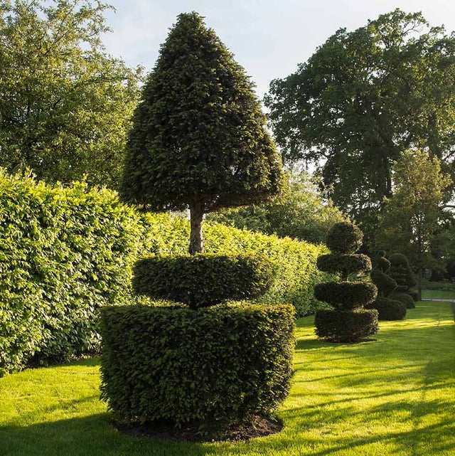 Topiary
