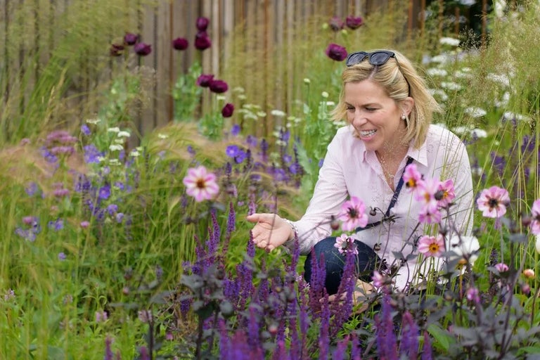 RHS Flower Shows