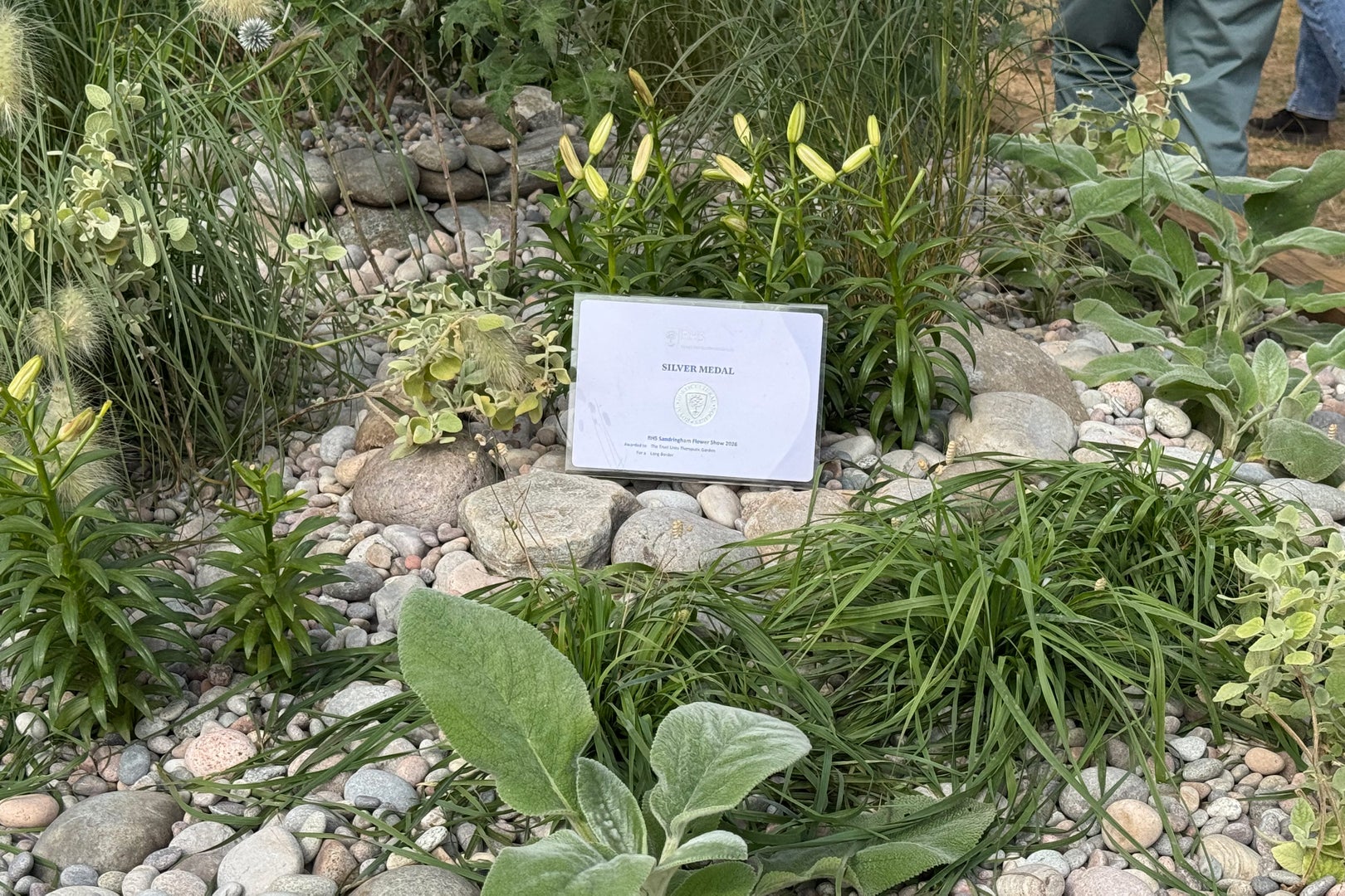 Evoke Garden Designs: The Trust Links Therapeutic Garden Long Border medal
