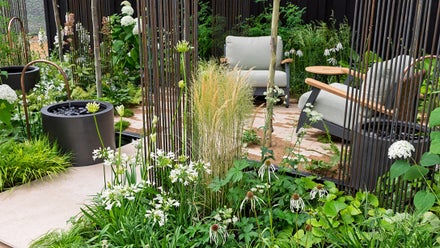 A garden with plants and chairs